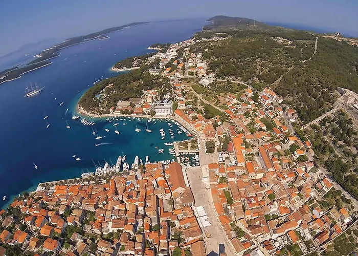 Pet Friendly In Hvar